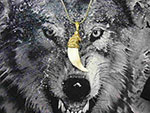 Кулон-амулет-оберег клык волка настоящий золото 24 карат 3 мкрн